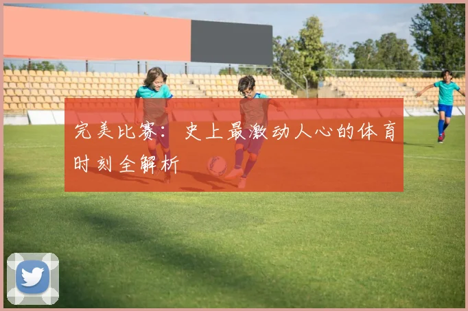 完美比赛：史上最激动人心的体育时刻全解析