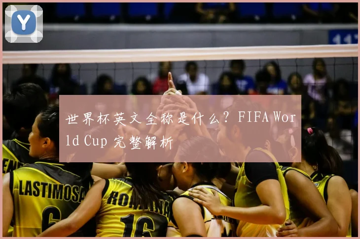 世界杯英文全称是什么？FIFA World Cup 完整解析